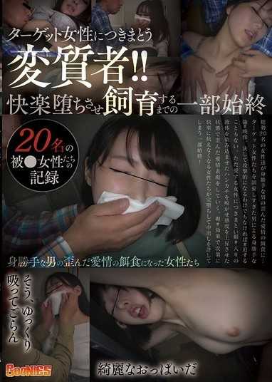 綁架目標女性的變態！！從快樂墮落到飼養的全部過程～20名被害女性的紀錄～